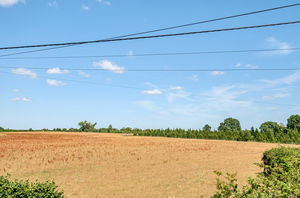 Photo 11- click for photo gallery